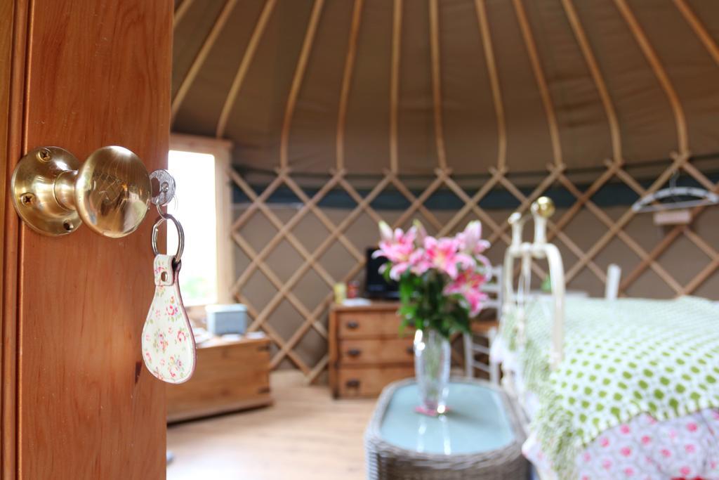 Sunbank Accommodation Llangollen Zewnętrze zdjęcie